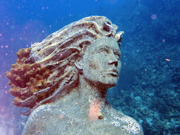 Foto primer plano de la estatua en el mar