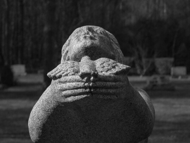 Foto primer plano de la estatua