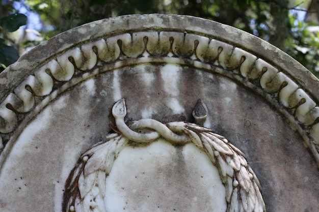 Foto primer plano de la estatua