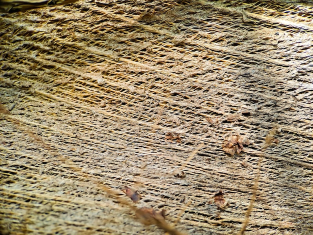 Primer plano de una estructura de fibra de coco filmada en un fondo natural marrón de árbol de fibra de coco para el consumo y la producción ambiental comúnmente utilizado para colchones de asientos de automóviles