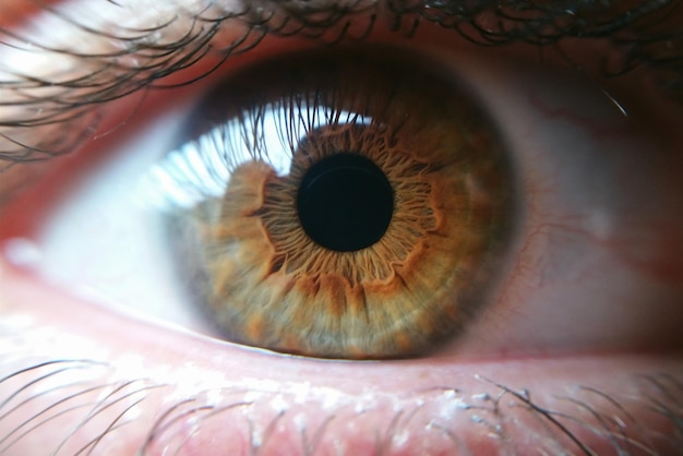 Primer plano extremo del ojo de la persona