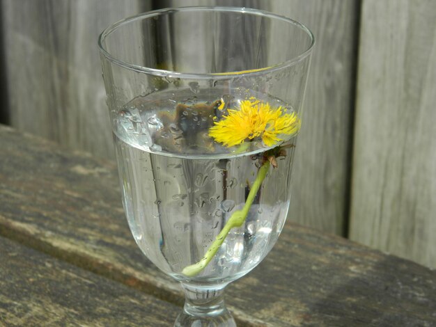 Foto primer plano de la flor amarilla y el agua en vaso