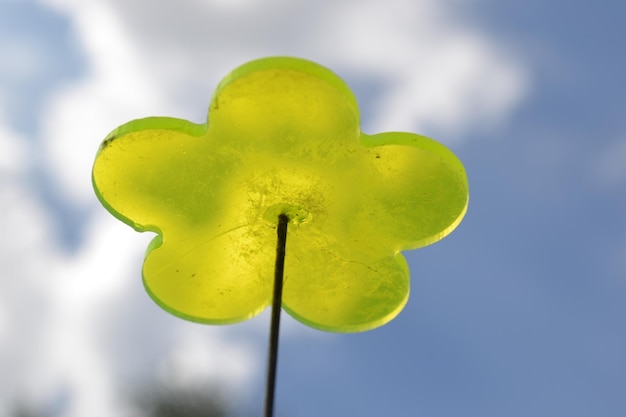 Foto primer plano de una flor artificial verde contra el cielo