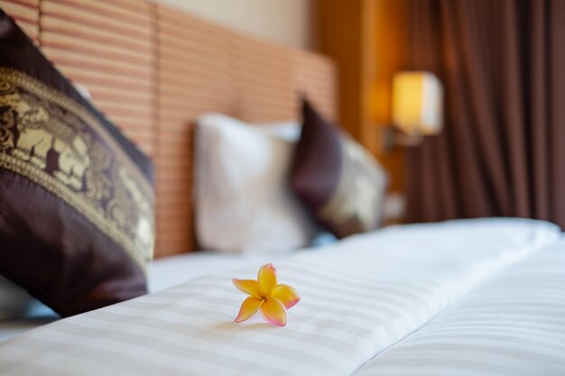 Foto primer plano de una flor blanca en la cama en casa