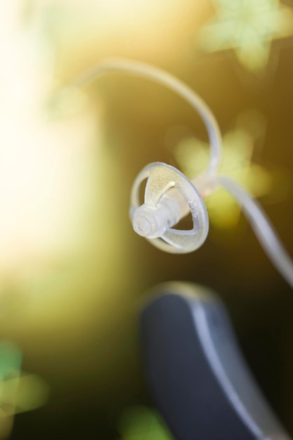 Foto primer plano de la flor blanca en la planta