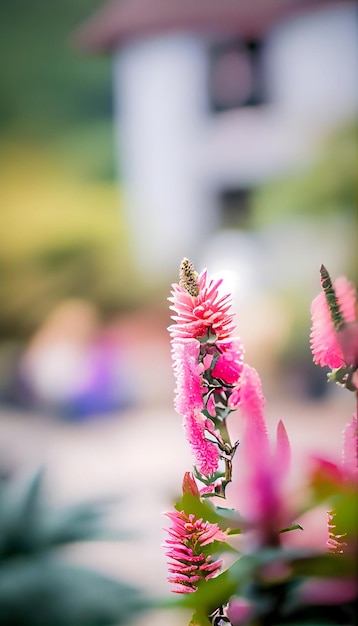 Primer plano de una flor con una casa en el fondo ai generativo