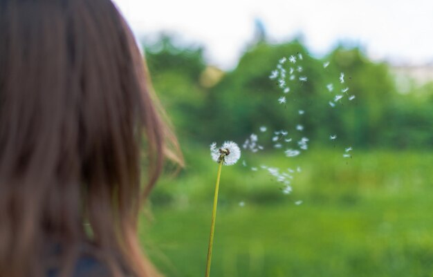 Foto primer plano de una flor contra un fondo borroso