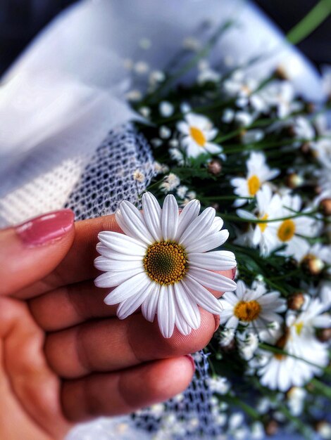 Foto primer plano de una flor en la mano