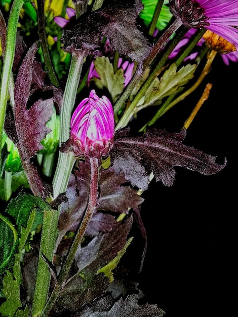 Foto primer plano de una flor marchitada