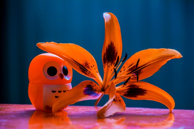 Foto primer plano de una flor de naranja contra un fondo borroso