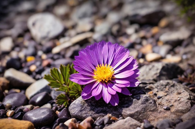 Un primer plano de una flor entre las rocas