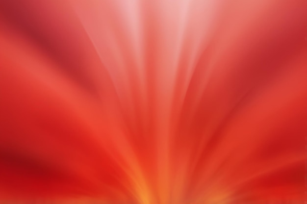 un primer plano de una flor roja con el sol brillando a través de ella