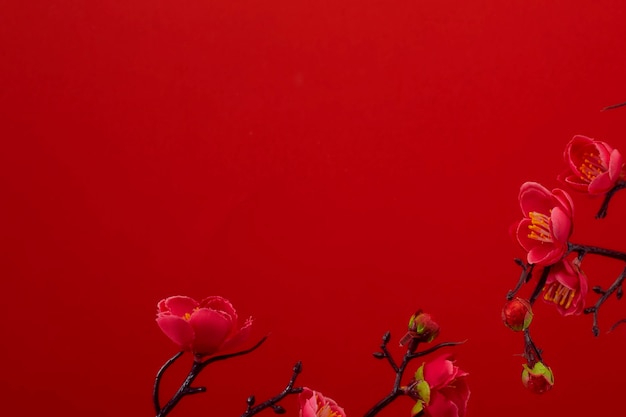 Primer plano de una flor rosada contra un fondo rojo