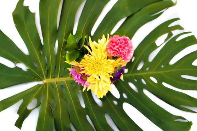 Primer plano de una flor