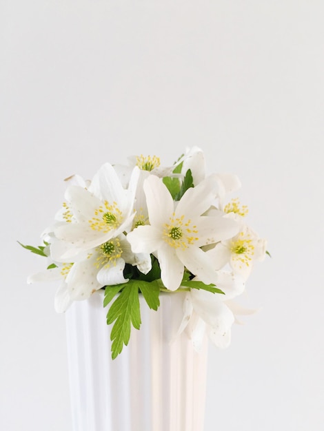 Primer plano de flores blancas en un jarrón contra la pared