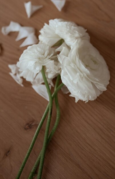 Foto primer plano de las flores blancas en la mesa