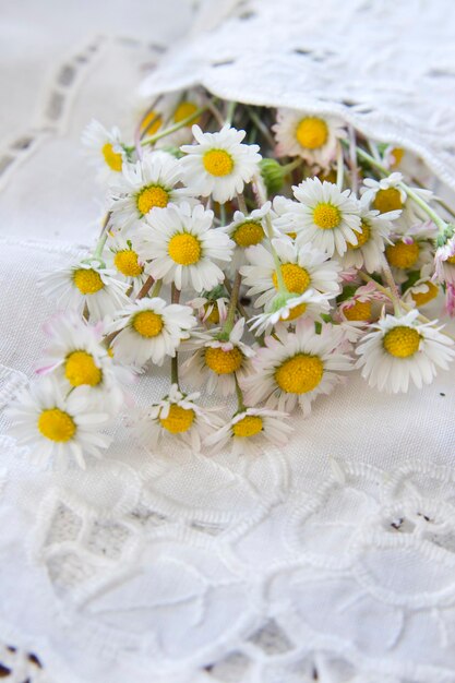 Foto primer plano de las flores blancas