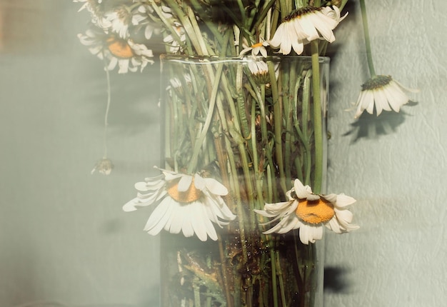 Primer plano de las flores en la mesa