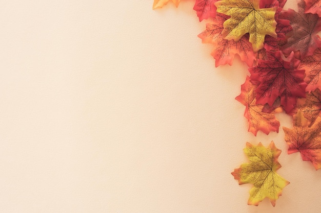 Primer plano de flores multicolores en la mesa