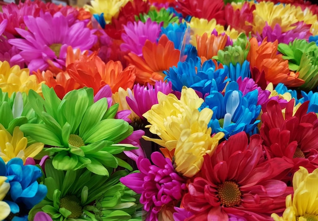 Foto primer plano de las flores multicolores