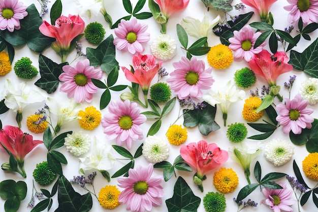 Foto primer plano de las flores multicolores