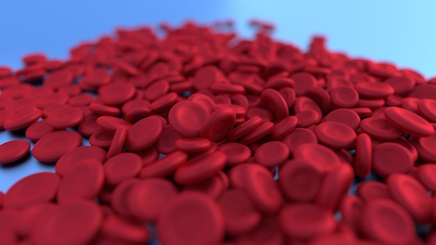 Primer plano de las flores rojas