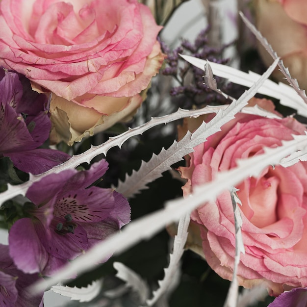 Primer plano de flores de rosa en un fondo blanco