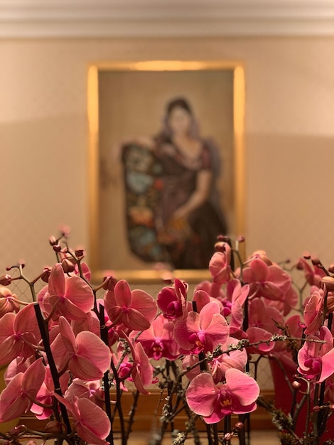 Foto primer plano de flores rosadas contra la pared de picasso