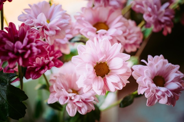 Primer plano de flores rosadas en un jarrón