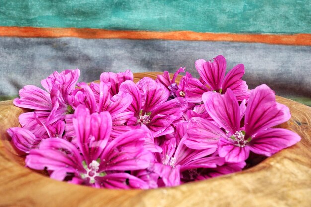 Foto primer plano de flores rosadas en madera