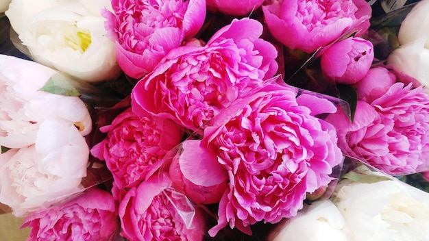 Primer plano de las flores rosas en el mercado