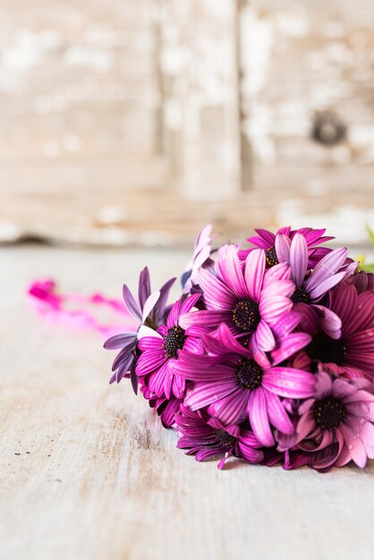 Foto primer plano de las flores rosas