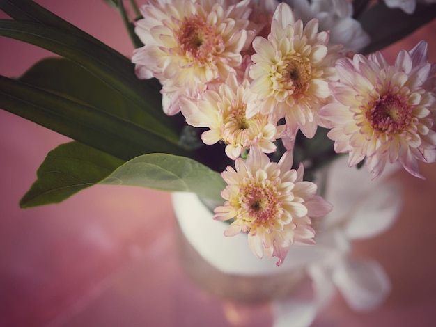 Primer plano de las flores