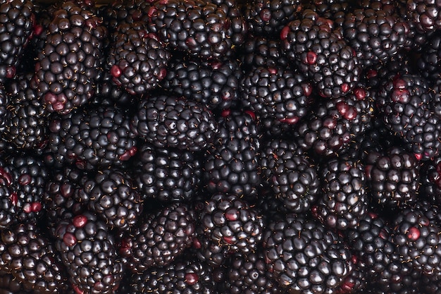 Foto un primer plano de un fondo de moras maduras y jugosas