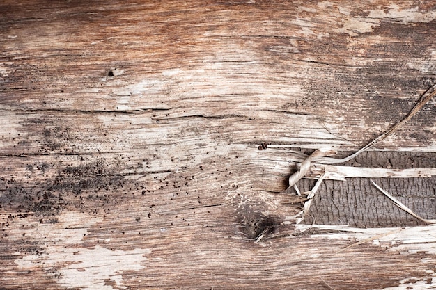 Primer plano de fondo de textura de madera marrón. La textura de madera vieja con patrones naturales de fondo, texto, telón de fondo, espacio de copia. Patrón de fondo del árbol