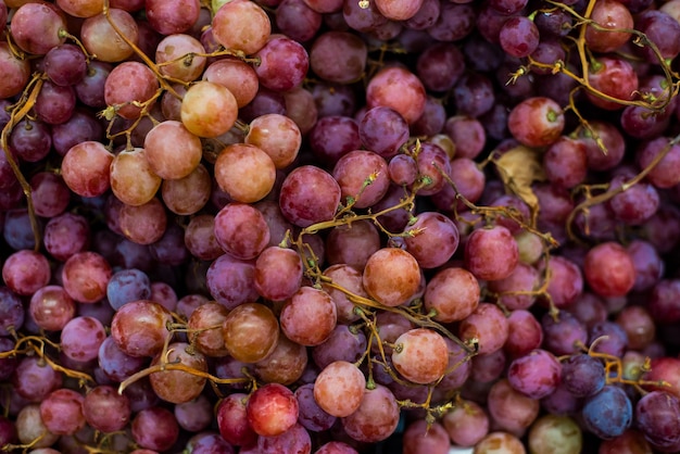 Foto primer plano de fondo de uva saludable
