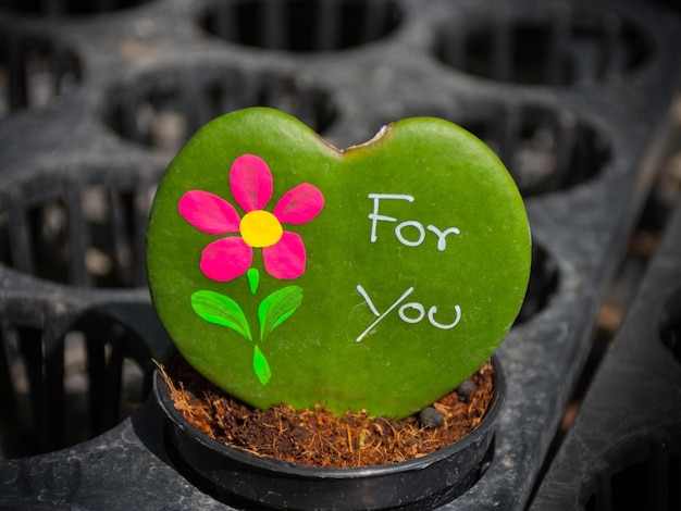 Foto primer plano en forma de corazón con texto