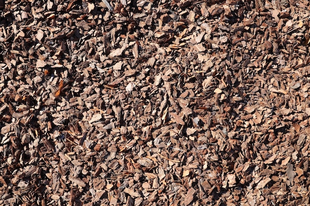 Primer plano de fotograma completo de mantillo marrón utilizado para jardinería y decoración de paisajes Textura de corteza de mantillo de abedul para jardín