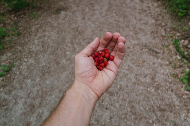 Primer plano de una fresa en la mano