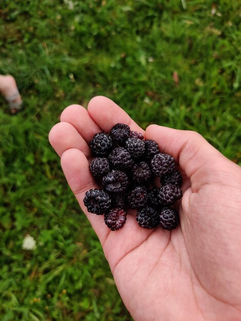 Foto primer plano de una fresa en la mano