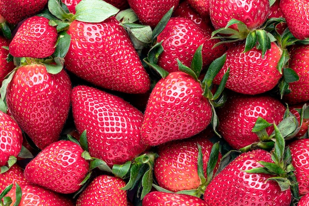 Primer plano de fresas frescas