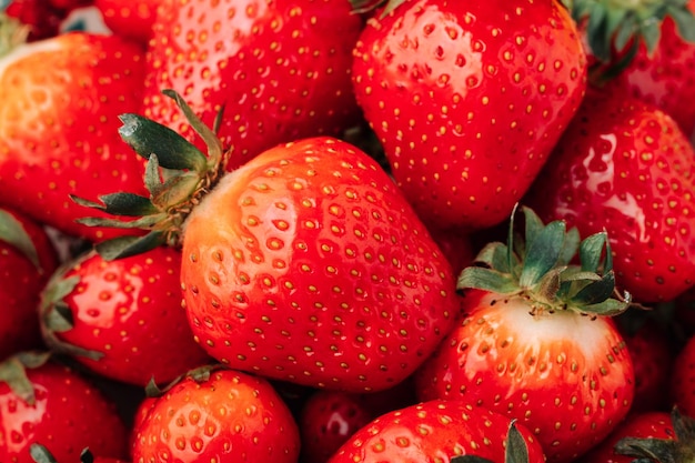 Primer plano de fresas jugosas maduras frescas