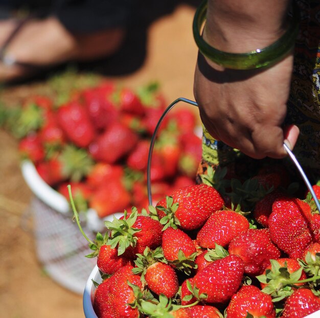 Foto primer plano de las fresas en la mano en el mercado