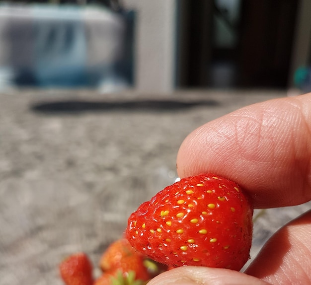 Foto primer plano de las fresas en la mano