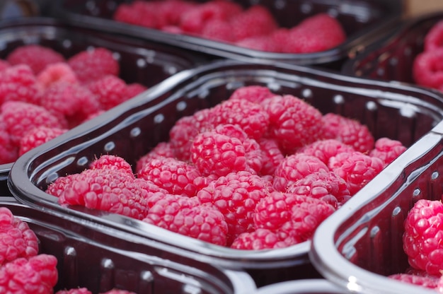 Foto primer plano de las fresas en recipiente