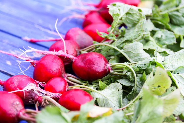 Foto primer plano de las fresas