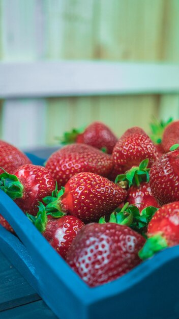 Foto primer plano de las fresas