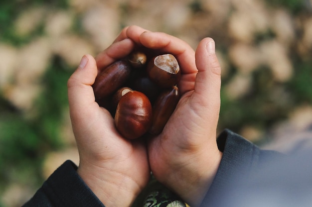 Primer plano de la fruta en la mano