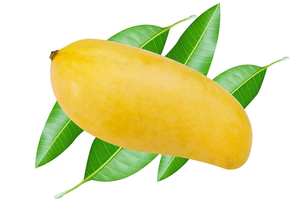 Primer plano de una fruta de naranja contra un fondo blanco