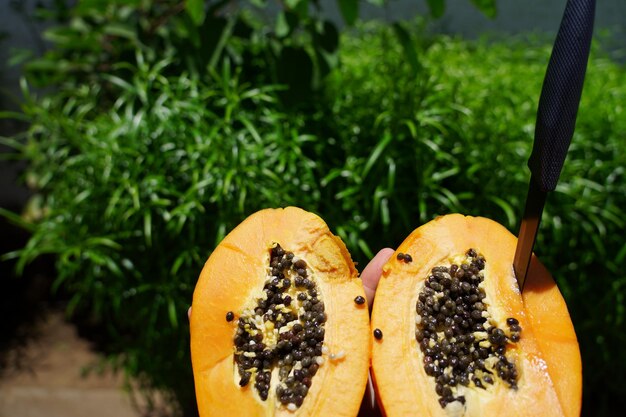 Foto primer plano de la fruta de la naranja que crece en la planta